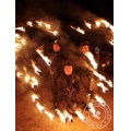 Золотые Драконы