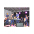 The Hobots