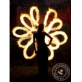 Fire party show