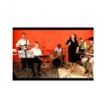 New Blues Band