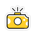 Cheese photo