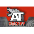 Athockey, школа хоккея
