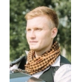 Иван Михеев