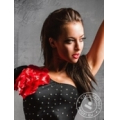 Corazon Dance Show