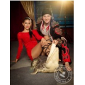 Шоу с крокодилами & Magic Show