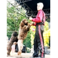 Владимир Мальцев
