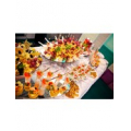 Costa Catering
