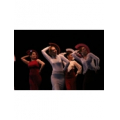 FlamencoVivo