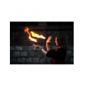 FireDay