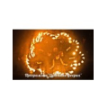 FireFox