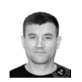 Сурду Виталий Николаевич