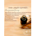 ООО «Аудит-партнер»