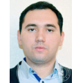 Саранчук Дмитрий Владимирович