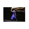 Flamenco Show