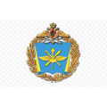 Военно-Воздушная академия имени профессора Н.Е. Жуковского и Ю.А. Гагарина