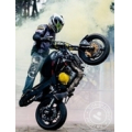Stunt Team Motopoligon