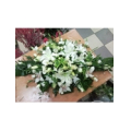 Силантьева Юлия