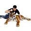 Animal-Pro