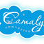 Camaly, химчистка