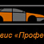 Профессионал, автотехцентр