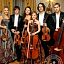 Violante orchestra